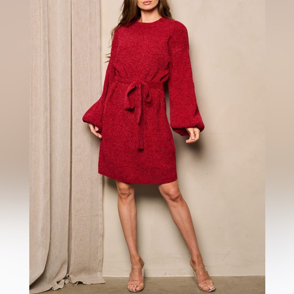 Burgundy Long Sleeve Self Tie Mini Dress - Picture 2 of 4